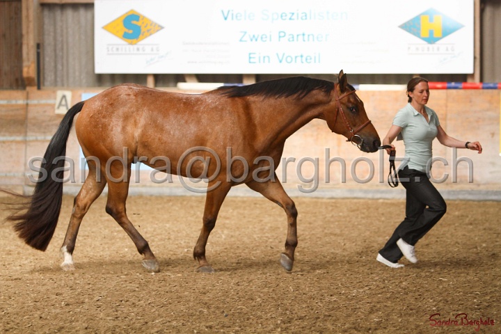 24-ApHC HIH_123.jpg